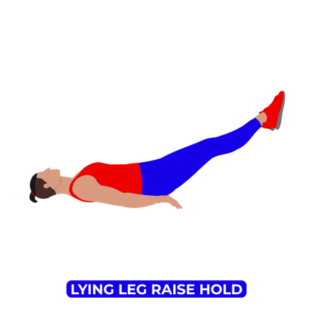 Man Doing Lying Leg Raise Hold Exercise  Illustration