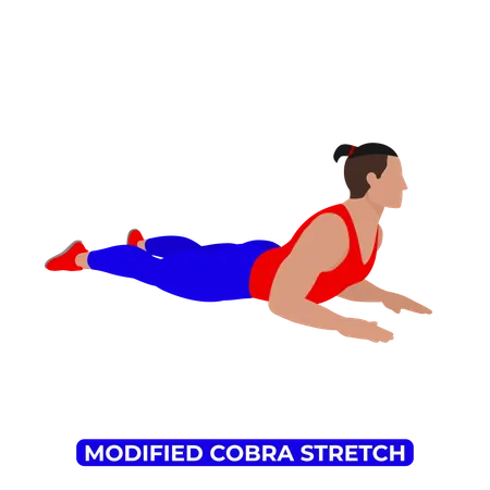 Man Doing Modified Cobra Stretch  Illustration