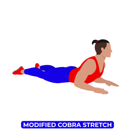 Man Doing Modified Cobra Stretch  Illustration