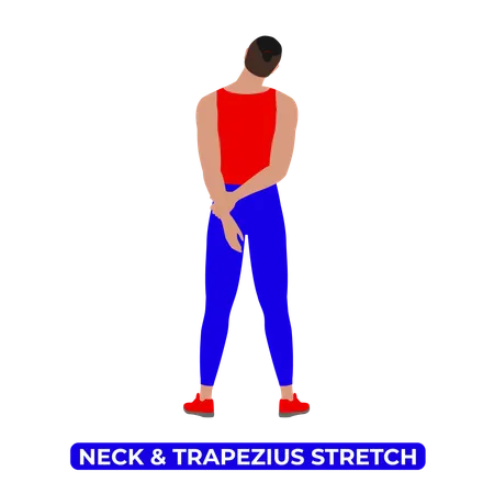 Man Doing Neck and Trapezius Stretch  Illustration