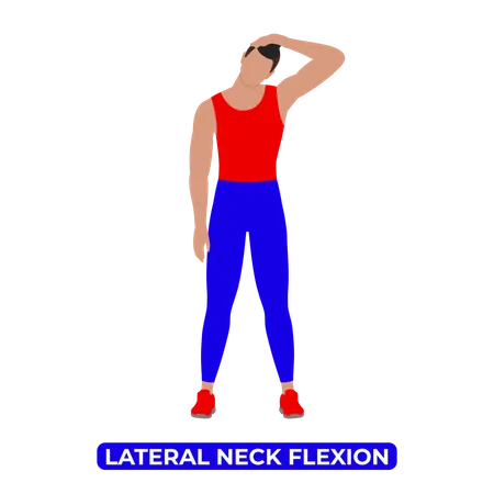 Lateral Neck Flexion Side Bend An Educational Illustration On A White Background Illustration