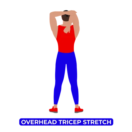 Man Doing Overhead Tricep Stretch  Illustration