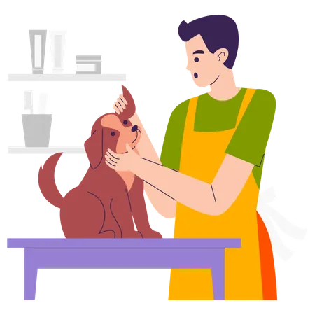 Man doing Pet Inspection  Illustration