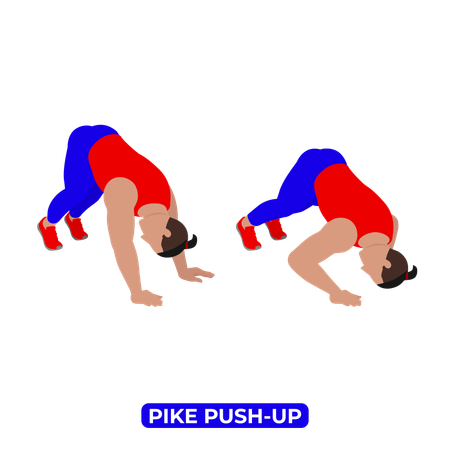 Man Doing Pike Push Up Exercise  Illustration