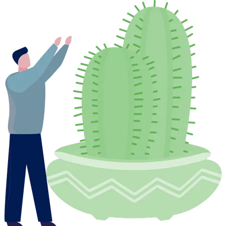 Man doing presenting green cactus  Illustration