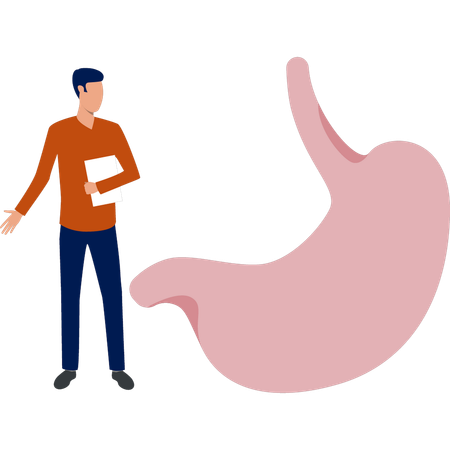 Man  doing research on human stomach  Illustration