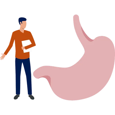 Man  doing research on human stomach  Illustration