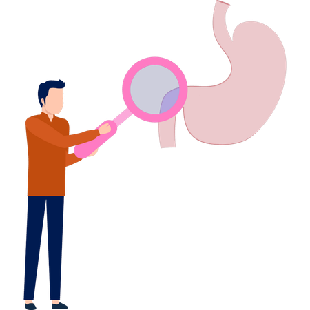 Man doing research on stomach  Illustration