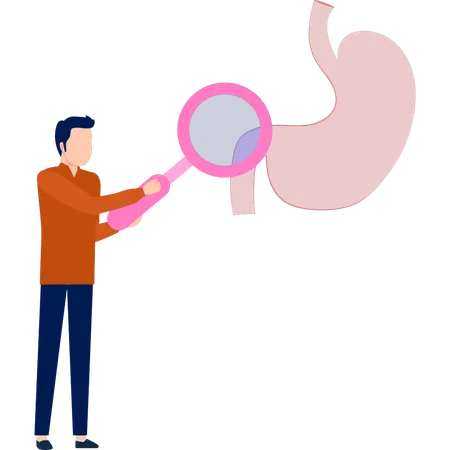 Man doing research on stomach  Illustration