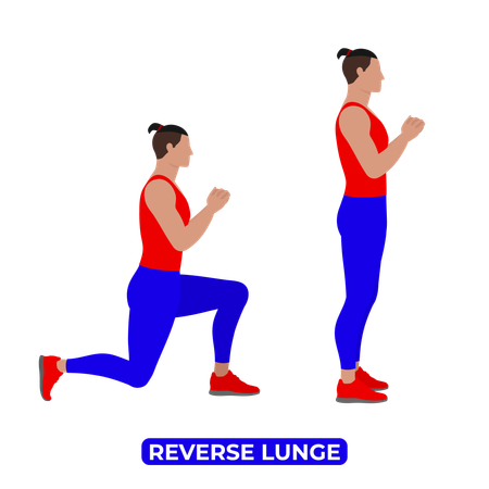 Man Doing Reverse Lunge Exercise  Illustration