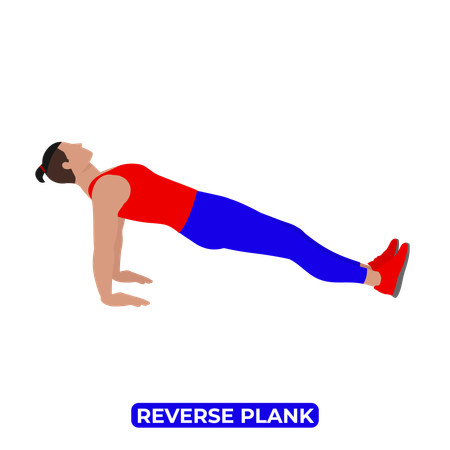 Man Doing Reverse Plank.  Illustration