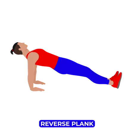 Man Doing Reverse Plank.  Illustration