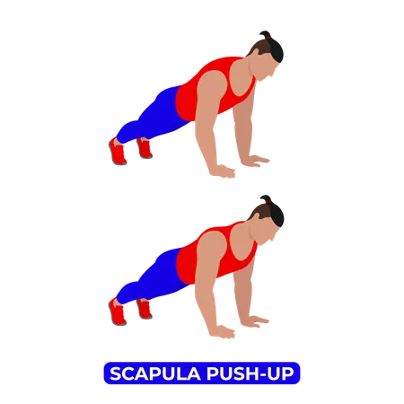 Man Doing Scapula Push Up Exercise  Illustration