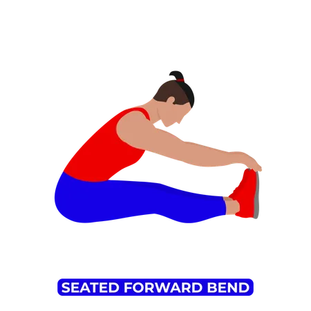 Spinal Flexion Back Stretch Paschimottanasana An Educational Illustration On A White Background Illustration