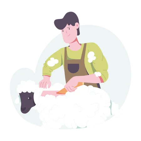 Man doing Sheep Shearing  Illustration