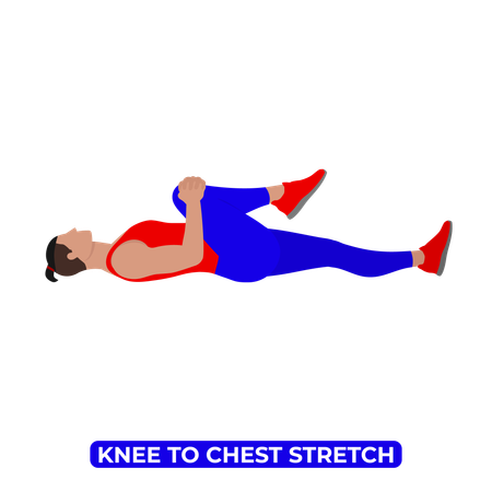 Man Doing Single Knee to Chest Glute Stretch  イラスト