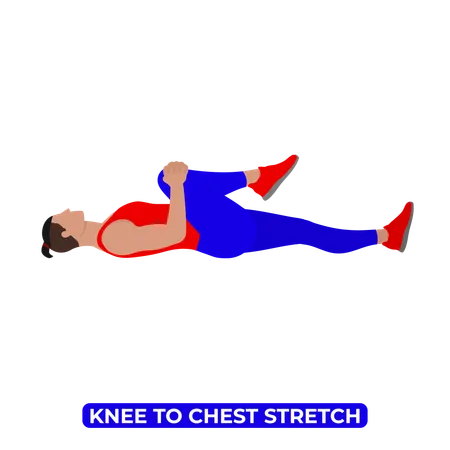 Man Doing Single Knee to Chest Glute Stretch  일러스트레이션
