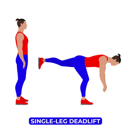 Bodyweight Fitness Legs Workout Exercise An Educational Illustration On A White Background 일러스트레이션