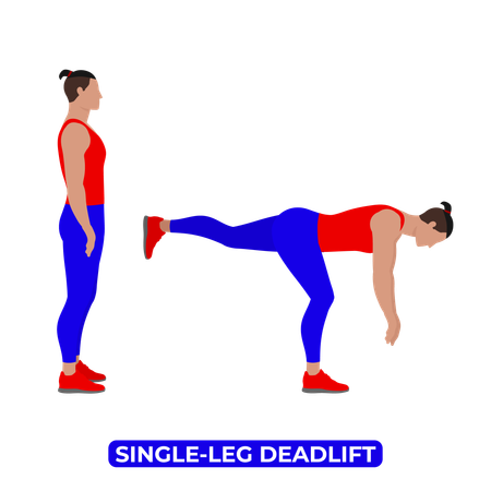 Man Doing Single Leg Deadlift Exercise  Illustration