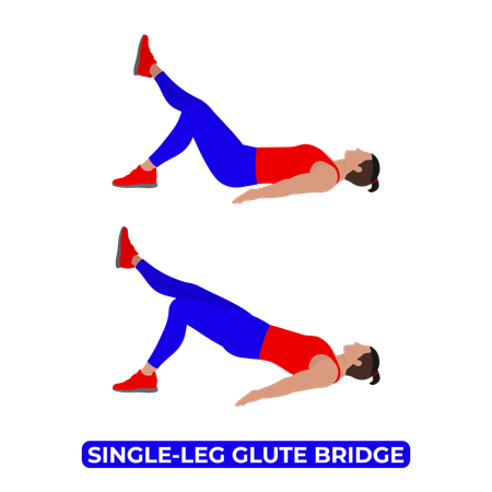 Man Doing Single Leg Glute Bridge Exercise  Illustration