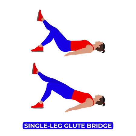 Man Doing Single Leg Glute Bridge Exercise  Illustration