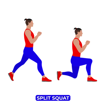 Man Doing Split Squat Exercise  Illustration