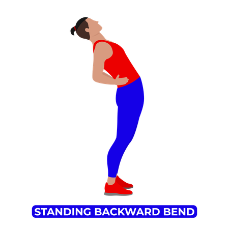 Man Doing Standing Backward Bend  Illustration