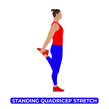 Man Doing Standing Quadricep Stretch  Illustration