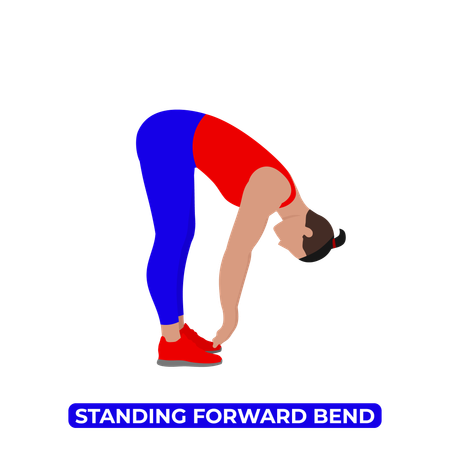 Man Doing Standing Spinal Flexion Back Stretch  Illustration