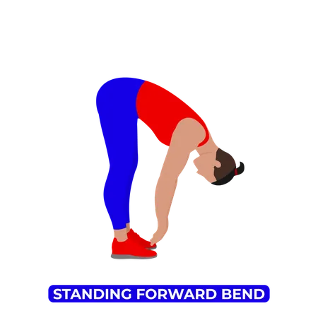 Man Doing Standing Spinal Flexion Back Stretch  Illustration
