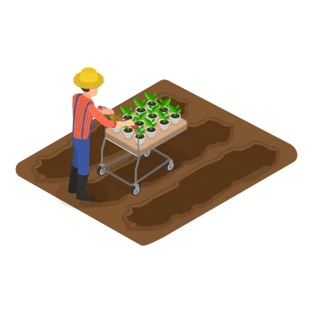 Man doing sustainable farming  Illustration