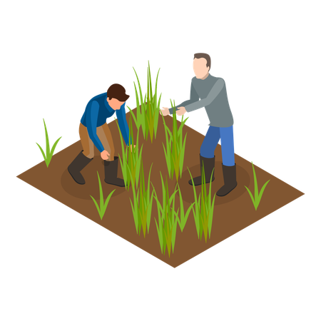 Man doing sustainable farming  Illustration