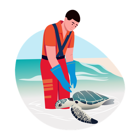 Man doing Turtle tagging  Illustration