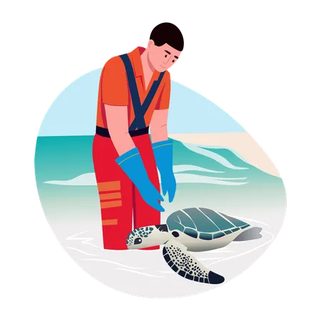 Man doing Turtle tagging  Illustration
