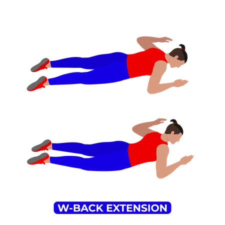 Man Doing W Back Extension Exercise  Illustration