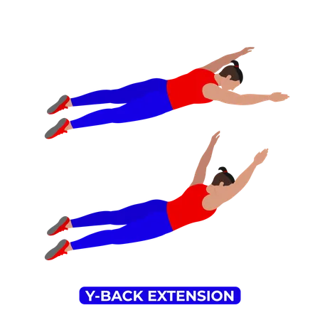 Man Doing Y Back Extension Exercise  Illustration