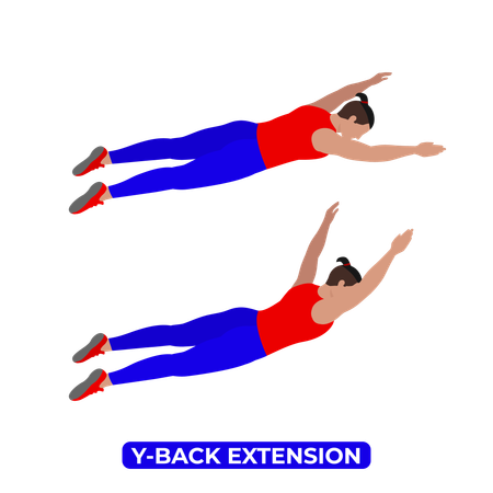 Man Doing Y Back Extension Exercise  Illustration