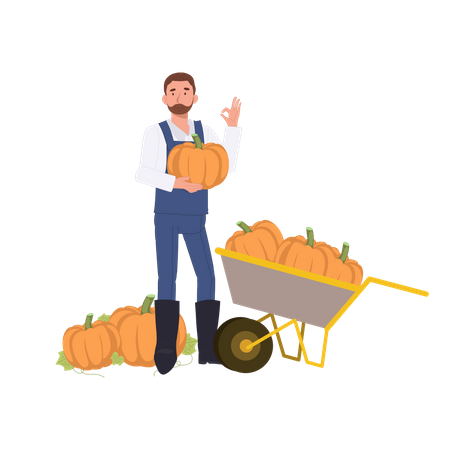Man farmer holding pumpkin  Illustration