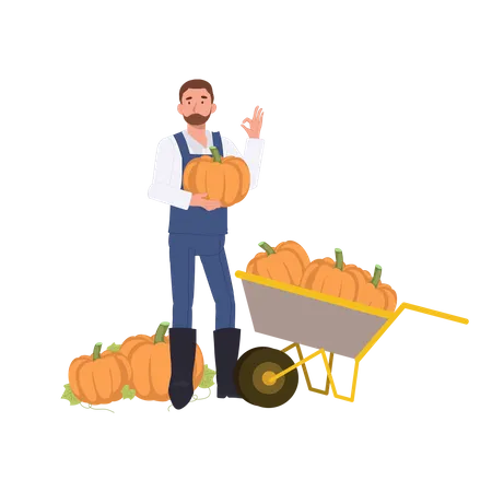 Man Farmer Holding Pumpkin And Doing OK Hand Sign Good Product Flat Vector Cartoon Character Illustration Illustration