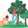 illustration for farmer farming apple