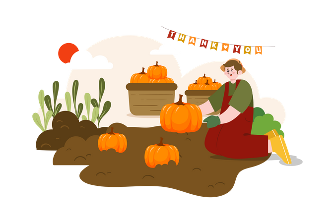 Man Farming Pumpkin  Illustration