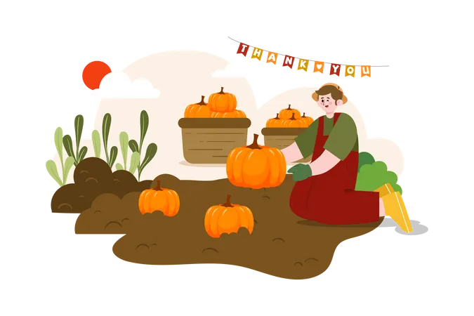 Man Farming Pumpkin  Illustration