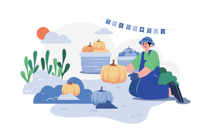 Man Farming Pumpkin  Illustration