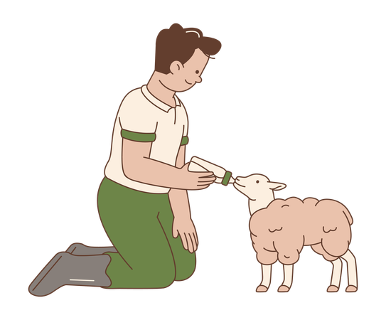 Man Feeding Lamb with Bottle  Illustration