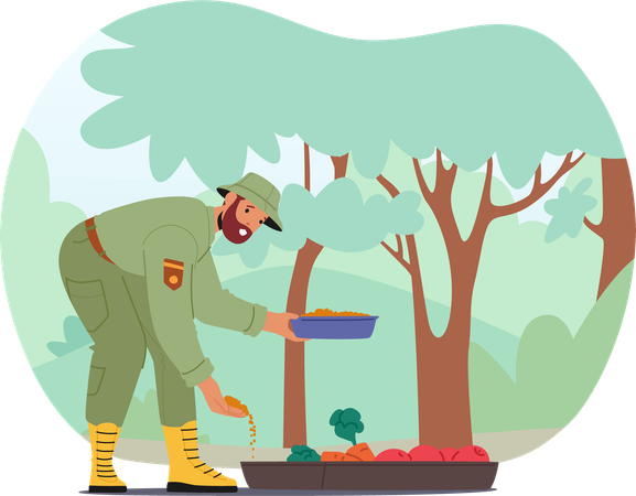 Man forest ranger  feeding animals with seed grains, fruits and vegetables in natural park  Illustration