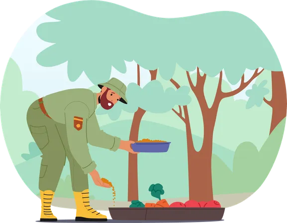 Man forest ranger  feeding animals with seed grains, fruits and vegetables in natural park  Illustration