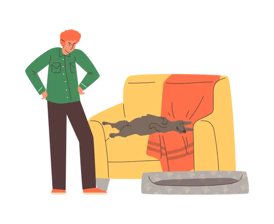Man furious because his dog sleeps on sofa  Illustration