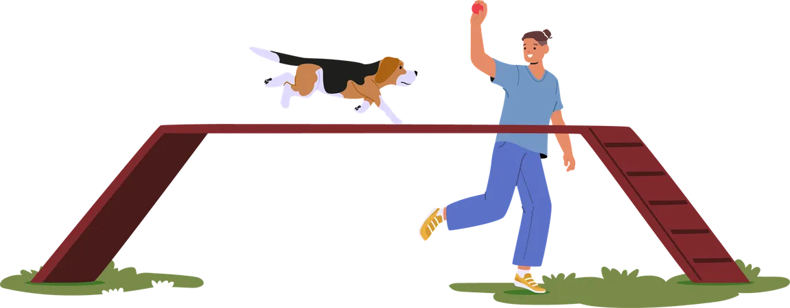 Man giving dog training  Illustration