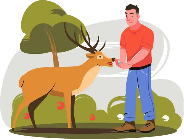Man giving food to deer  イラスト