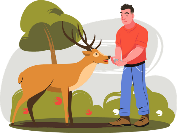 Man giving food to deer  イラスト